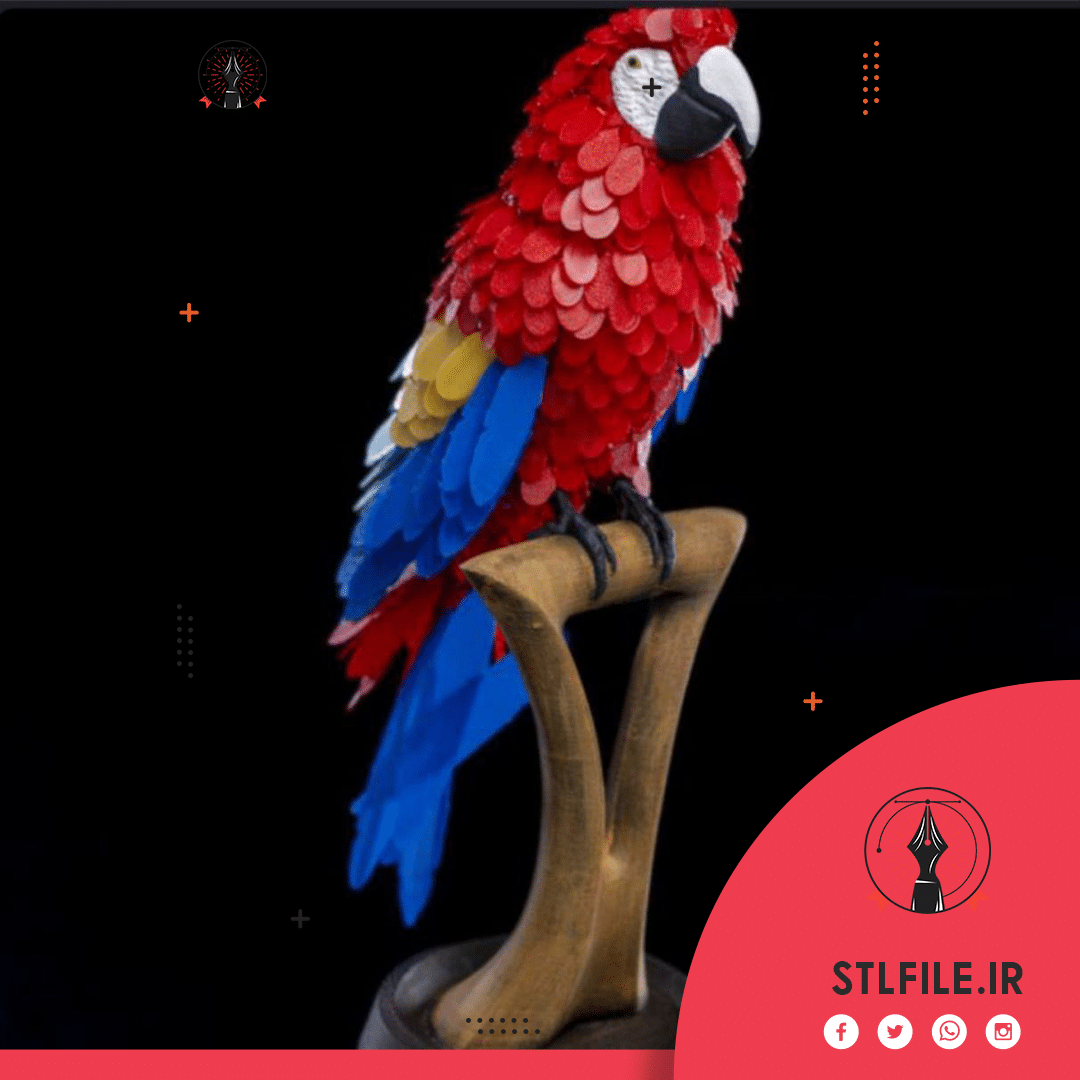 Macaw_Feather_Puzzle